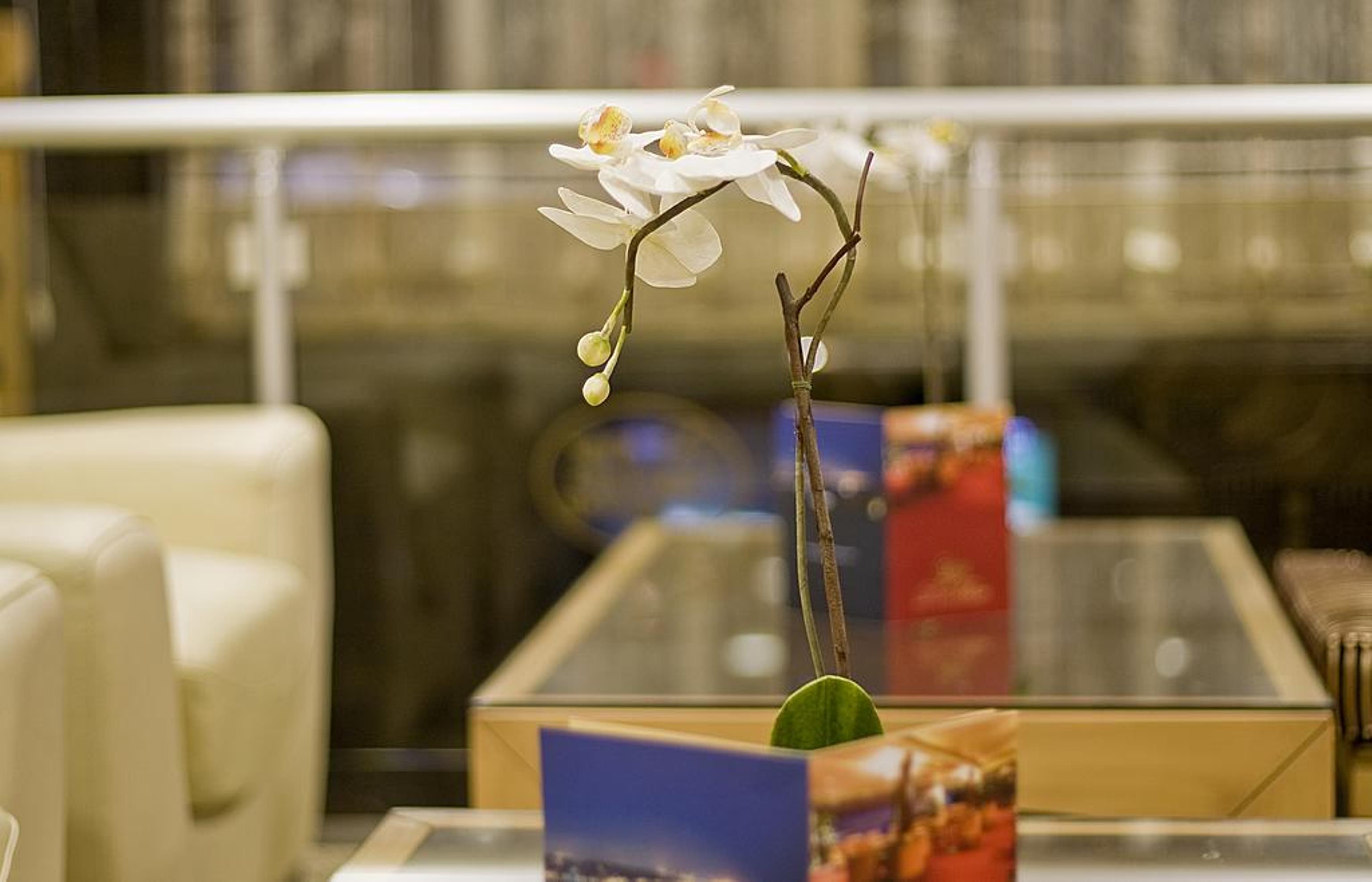 塔克西姆公园之星酒店 伊斯坦布尔 外观 照片